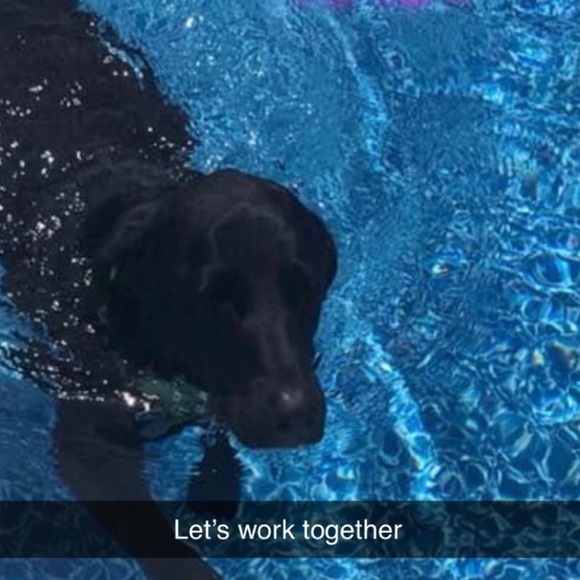 Share for Share Max 30 Please Comment When Done I will share back - Picture 7 of 13